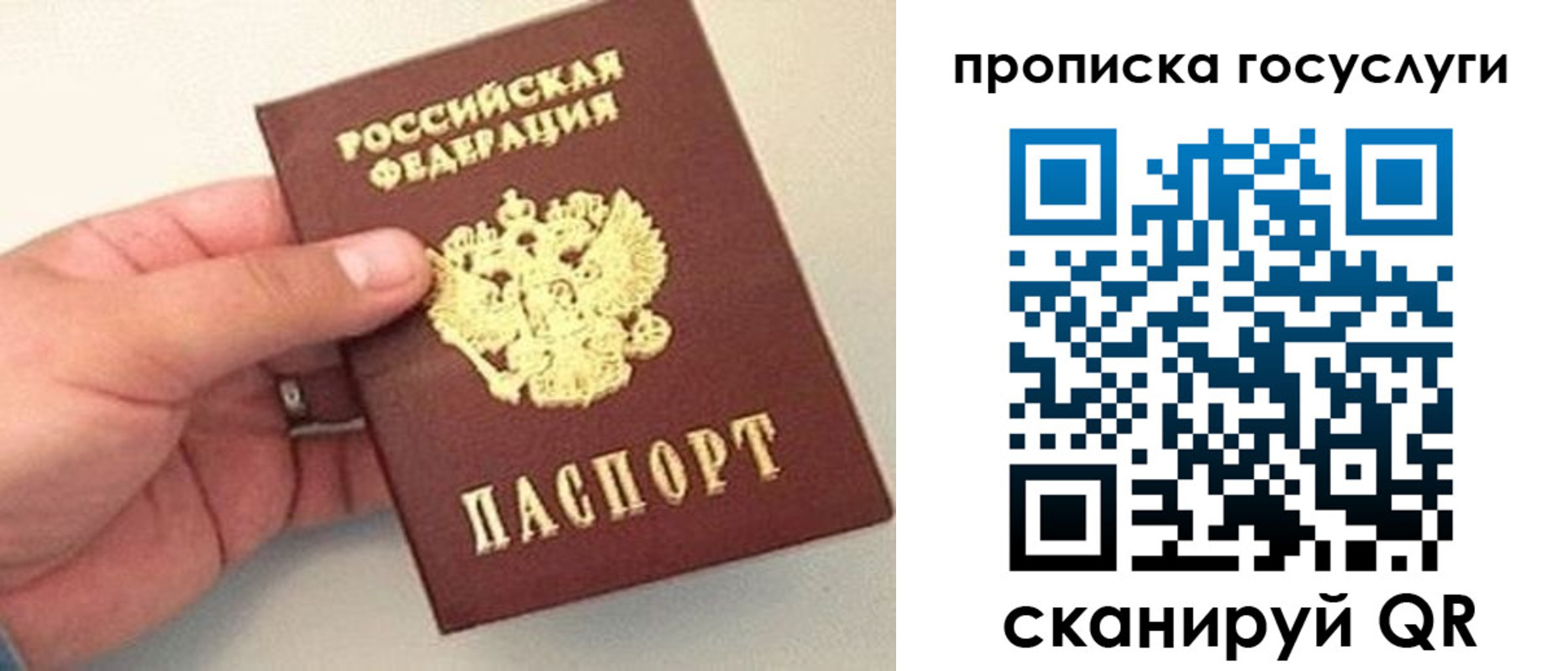 где прописаться в Балтийске